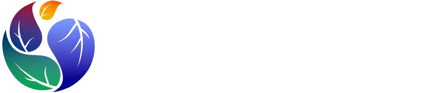 logo footer lan